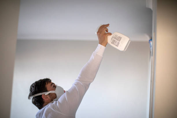 Best White Mold Remediation in Woodbury, NJ