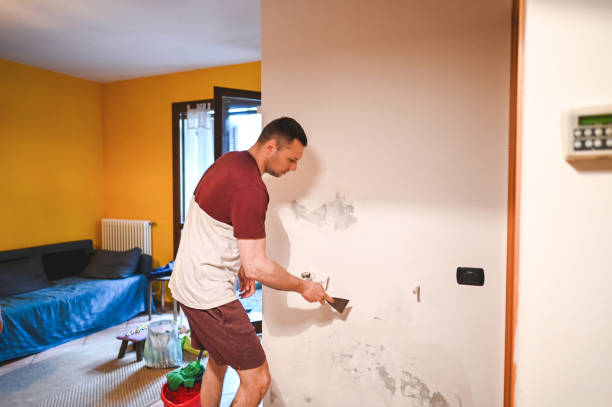 Best White Mold Remediation in Woodbury, NJ
